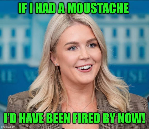 IF I HAD A MOUSTACHE; I’D HAVE BEEN FIRED BY NOW! | image tagged in maga | made w/ Imgflip meme maker
