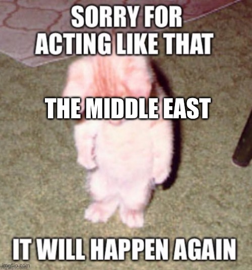 sorry for x it will happen again | THE MIDDLE EAST | image tagged in sorry for x it will happen again | made w/ Imgflip meme maker