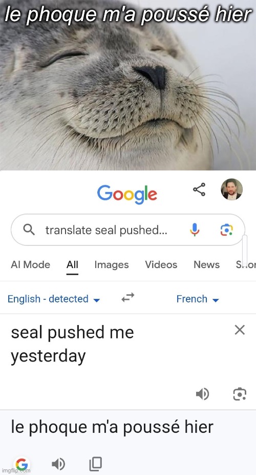 Tish that’s French | le phoque m'a poussé hier | image tagged in memes,satisfied seal,french,pussy,fuck | made w/ Imgflip meme maker