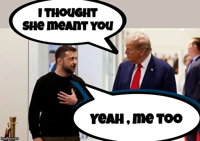 Trump and Zelensky | I thought
she meant you Yeah , me too | image tagged in trump and zelensky | made w/ Imgflip meme maker