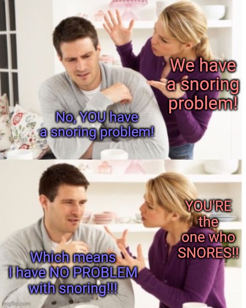 I sleep just fine! | We have a snoring problem! No, YOU have a snoring problem! YOU'RE the one who SNORES!! Which means I have NO PROBLEM with snoring!!! | image tagged in arguing couple reverse soc,memes,sleeping,snoring,the problem is | made w/ Imgflip meme maker