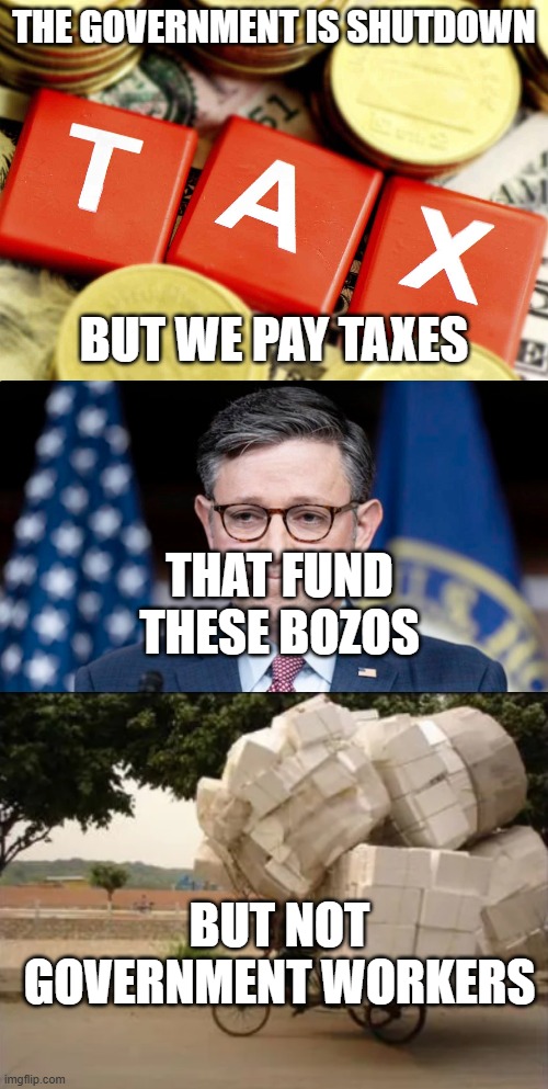 I know many people off pay right now cuz of this | THE GOVERNMENT IS SHUTDOWN; BUT WE PAY TAXES; THAT FUND THESE BOZOS; BUT NOT GOVERNMENT WORKERS | image tagged in taxes,mike johnson,hard worker | made w/ Imgflip meme maker