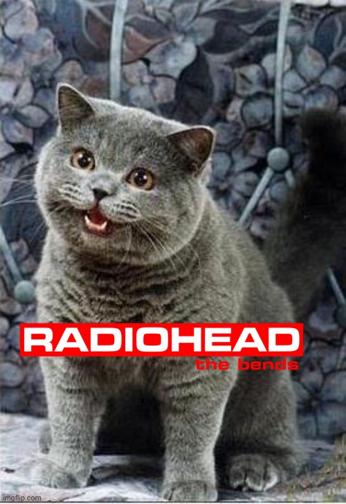 I can has cheezburger cat | image tagged in i can has cheezburger cat | made w/ Imgflip meme maker