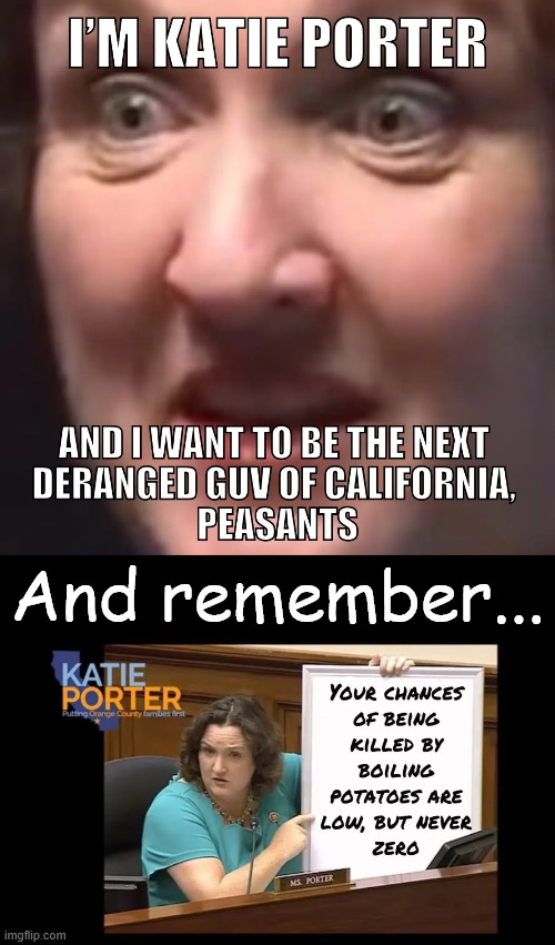 Campaign ad | And remember... | image tagged in campaign ad,katie porter,anger issues | made w/ Imgflip meme maker