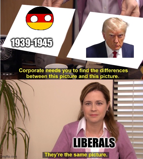 They're The Same Picture Meme | 1939-1945; LIBERALS | image tagged in memes,they're the same picture | made w/ Imgflip meme maker