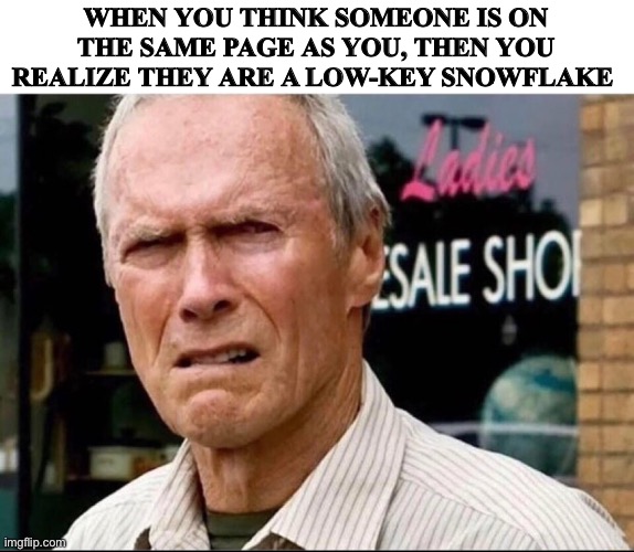 WHEN YOU THINK SOMEONE IS ON THE SAME PAGE AS YOU, THEN YOU REALIZE THEY ARE A LOW-KEY SNOWFLAKE | image tagged in snowflakes | made w/ Imgflip meme maker