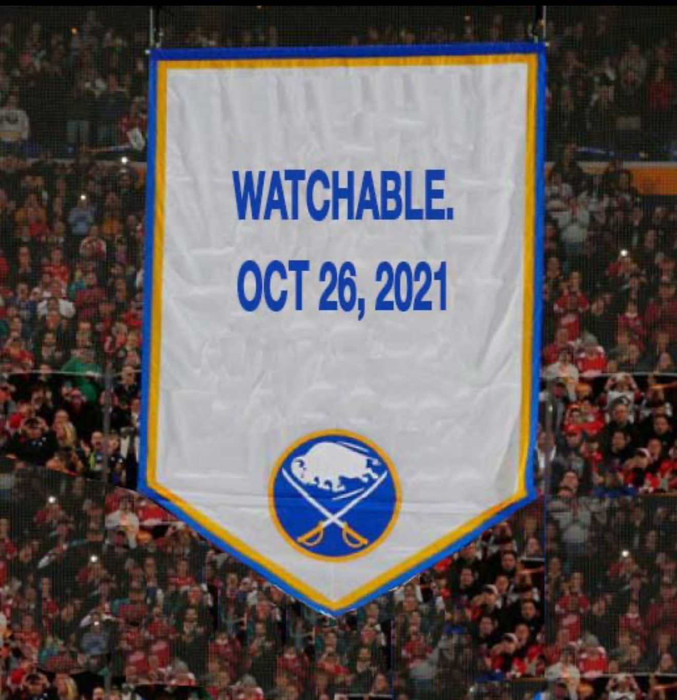 Sabres Banner Blank Meme Template