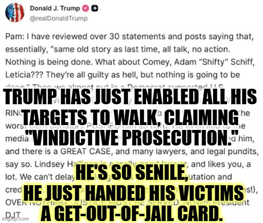 These are thin cases that will collapse in court. | TRUMP HAS JUST ENABLED ALL HIS 
TARGETS TO WALK, CLAIMING 
"VINDICTIVE PROSECUTION."; HE'S SO SENILE,
 HE JUST HANDED HIS VICTIMS A GET-OUT-OF-JAIL CARD. | image tagged in trump,vindictive prosecution,james comey,adam schiff,letitia james,senile dementia | made w/ Imgflip meme maker
