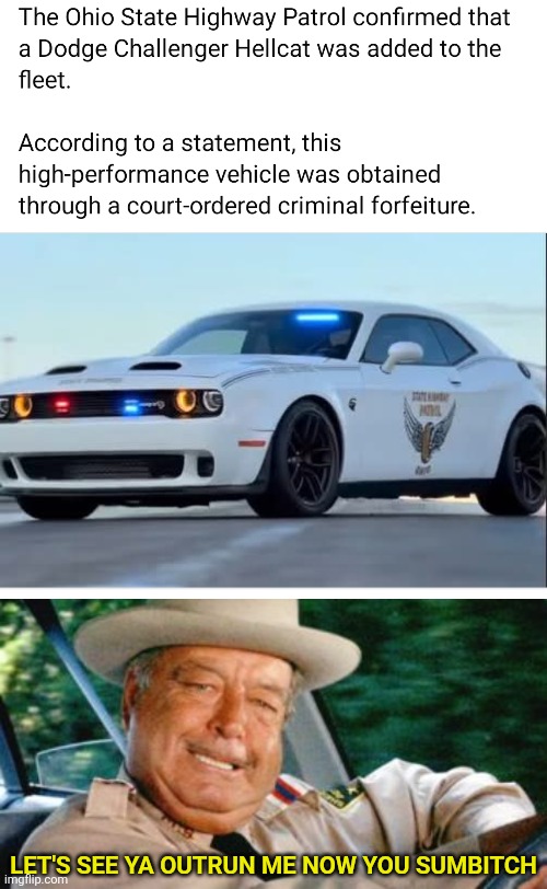 GINA BE SOME HIGH SPEED CHASES | LET'S SEE YA OUTRUN ME NOW YOU SUMBITCH | image tagged in sheriff buford t justice,cars,police,car,dodge | made w/ Imgflip meme maker