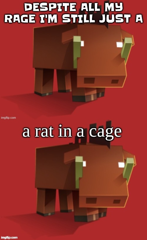Netherite Hoglin | DESPITE ALL MY RAGE I'M STILL JUST A; a rat in a cage | image tagged in netherite hoglin | made w/ Imgflip meme maker