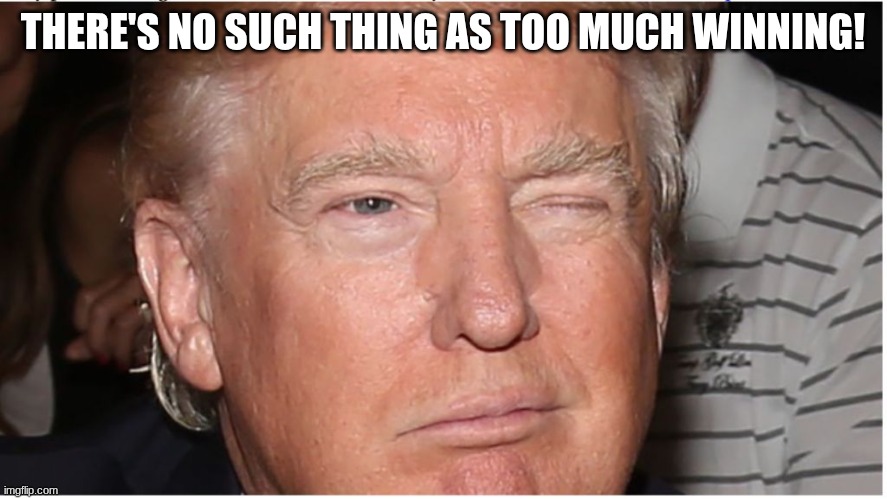Trump Wink | THERE'S NO SUCH THING AS TOO MUCH WINNING! | image tagged in trump wink | made w/ Imgflip meme maker