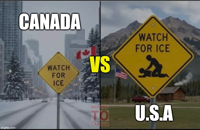 Canada vs U.S.A. | CANADA; VS; U.S.A | image tagged in trump,gop,maga,nazis,fascists,ice | made w/ Imgflip meme maker