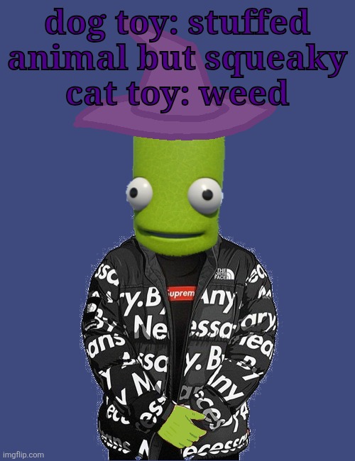 SPOOKY epilektoi drip | dog toy: stuffed animal but squeaky
cat toy: weed | image tagged in spooky epilektoi drip | made w/ Imgflip meme maker