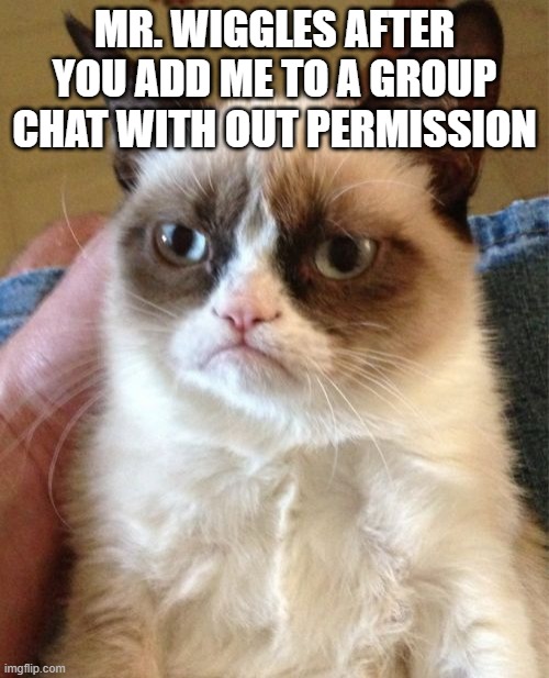 Ok but I hat when this happens | MR. WIGGLES AFTER YOU ADD ME TO A GROUP CHAT WITH OUT PERMISSION | image tagged in memes,grumpy cat,group chats,i hate it when | made w/ Imgflip meme maker
