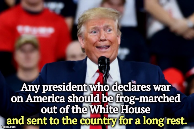 The President should be president of all Americans, not just the ones who voted for him. | Any president who declares war 
on America should be frog-marched 
out of the White House; and sent to the country for a long rest. | image tagged in trump,insanity,senile dementia,frontotermporal dementia,crazy,nuts | made w/ Imgflip meme maker