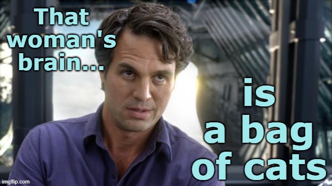 That woman's brain... is a bag of cats | made w/ Imgflip meme maker