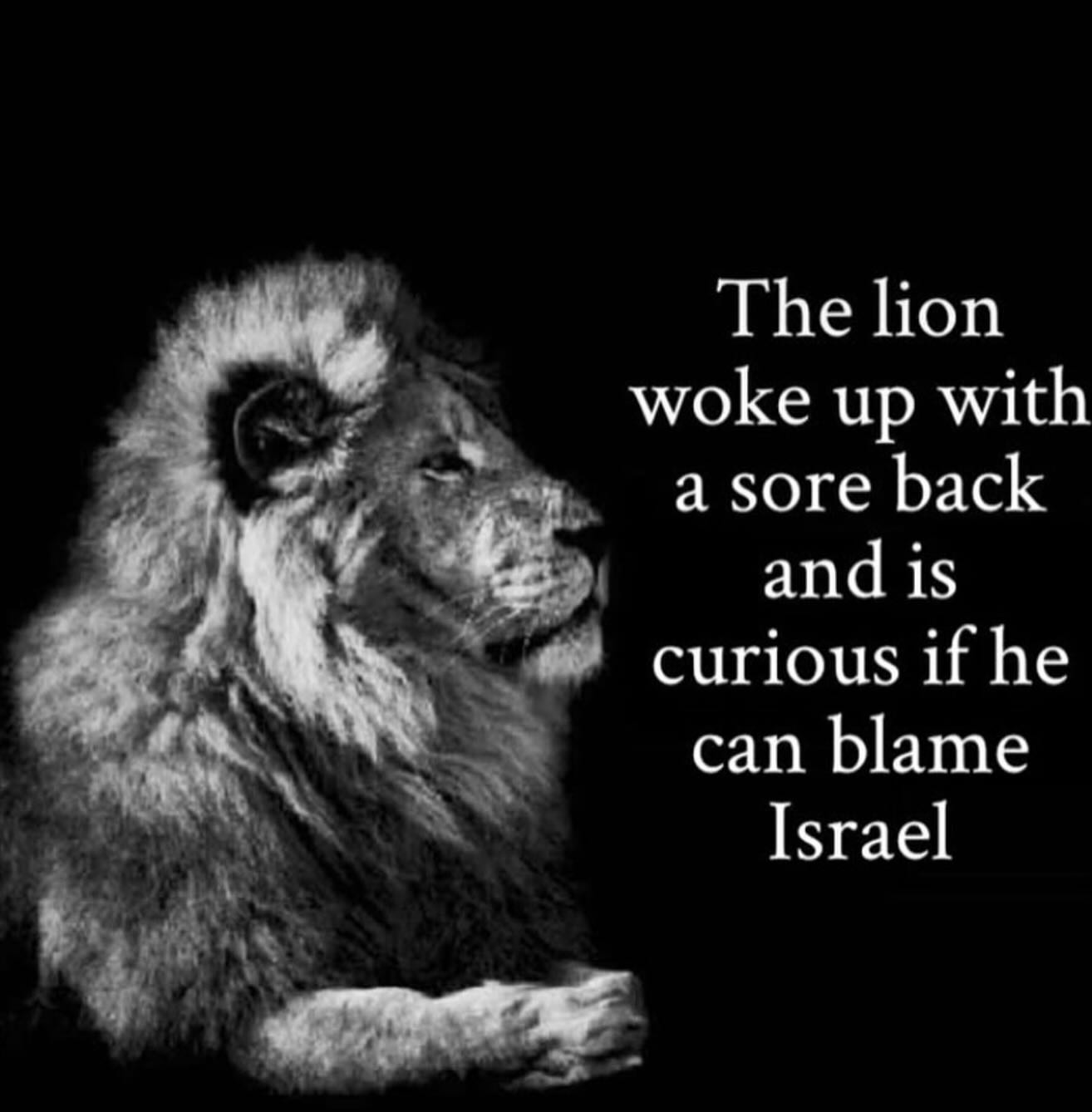 The lion blames israel Blank Meme Template