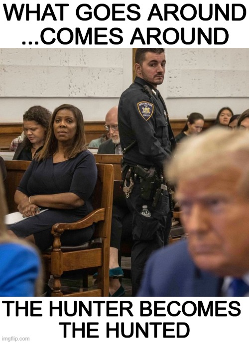 Will this finally be the cure for TDS? | WHAT GOES AROUND
...COMES AROUND; THE HUNTER BECOMES 
THE HUNTED | image tagged in james,djt,equal treatment,under the law,radical,justice | made w/ Imgflip meme maker