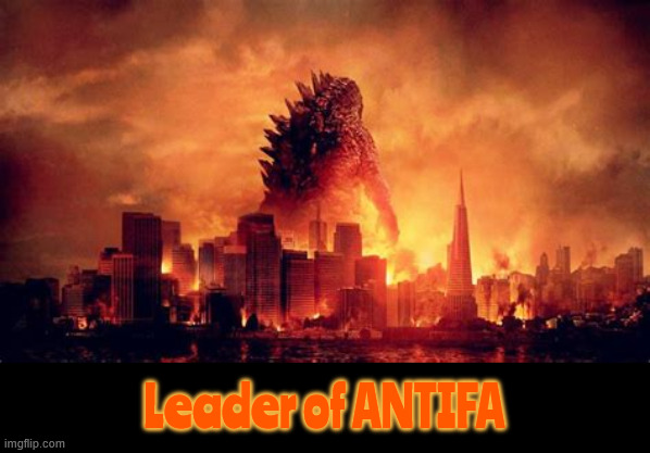 Leader of ANTIFA attacks Portland | Leader of ANTIFA | image tagged in leader of antifa attacks portland,go go godzilla,anti-maga,maga is a terrorist organization | made w/ Imgflip meme maker