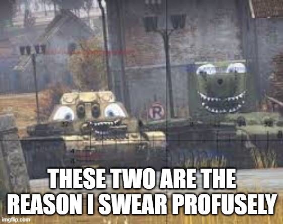 pure pain | THESE TWO ARE THE REASON I SWEAR PROFUSELY | image tagged in military | made w/ Imgflip meme maker
