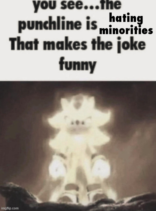 You see the punchline is that makes the joke funny shadow | hating minorities | image tagged in you see the punchline is that makes the joke funny shadow | made w/ Imgflip meme maker