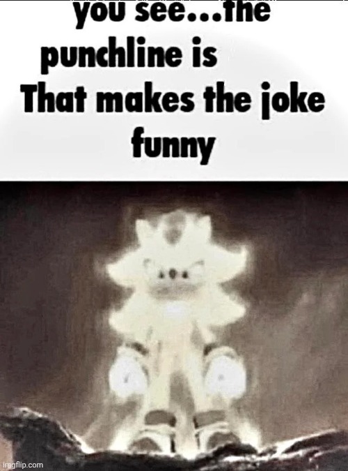 Shadow explains the joke | image tagged in shadow explains the joke | made w/ Imgflip meme maker