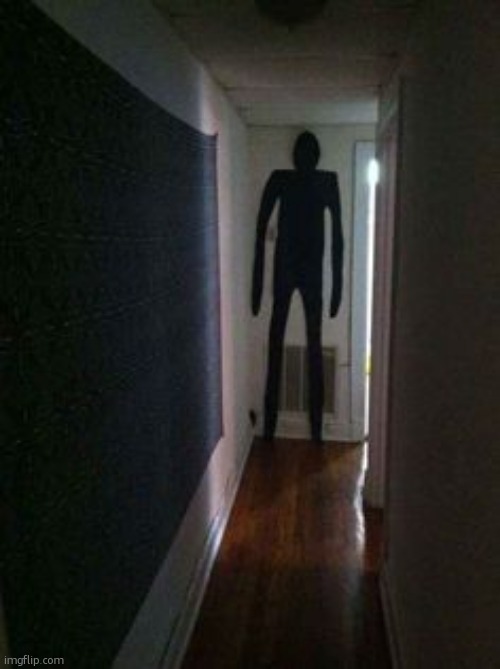 The Figure Down The Hall | image tagged in the figure down the hall | made w/ Imgflip meme maker
