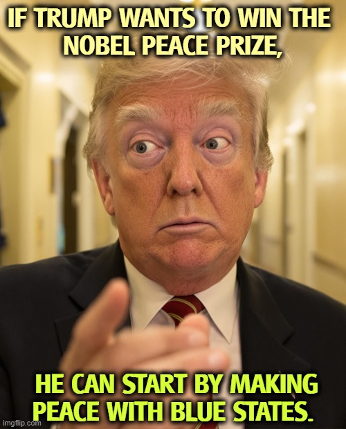 Trump drifting off into senile dementia, crazy, insane | IF TRUMP WANTS TO WIN THE 
NOBEL PEACE PRIZE, HE CAN START BY MAKING PEACE WITH BLUE STATES. | image tagged in trump drifting off into senile dementia crazy insane,trump,nobel prize,peace,blue states | made w/ Imgflip meme maker