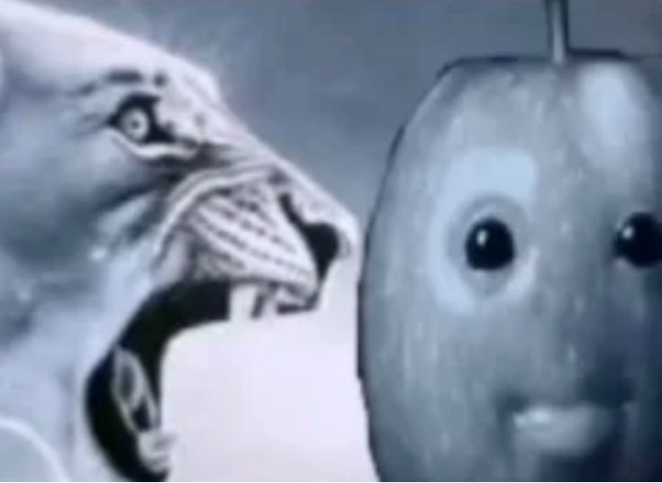 Ragebaiting the twin Blank Meme Template
