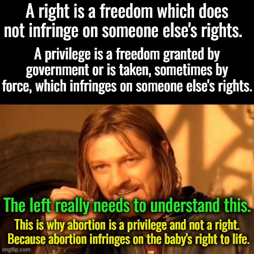 There are just far too many people claiming a privilege is their right.  They need to understand exactly what is a right. | A right is a freedom which does not infringe on someone else's rights. A privilege is a freedom granted by government or is taken, sometimes by force, which infringes on someone else's rights. The left really needs to understand this. This is why abortion is a privilege and not a right.  Because abortion infringes on the baby's right to life. | image tagged in a right is not a prvilege,a privilege is not a right,stop claiming a privilege is your right | made w/ Imgflip meme maker