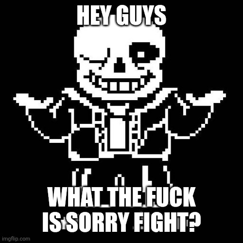 sans undertale | HEY GUYS; WHAT THE FUCK IS SORRY FIGHT? | image tagged in sans undertale | made w/ Imgflip meme maker