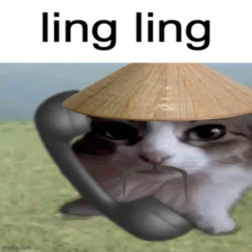 Ling Ling Slide Blank Meme Template