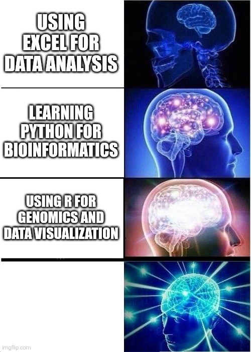 Integrating R + Python for automated Bioinformatics workflows | USING EXCEL FOR DATA ANALYSIS LEARNING PYTHON FOR BIOINFORMATICS USING R FOR GENOMICS AND DATA VISUALIZATION INTEGRATING R + PYTHON FOR AUTO | image tagged in memes,expanding brain | made w/ Imgflip meme maker