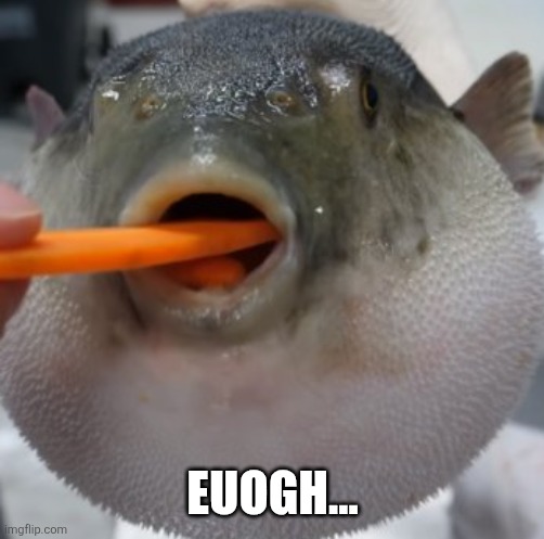 pufferfish eating carrot | EUOGH... | image tagged in pufferfish eating carrot | made w/ Imgflip meme maker