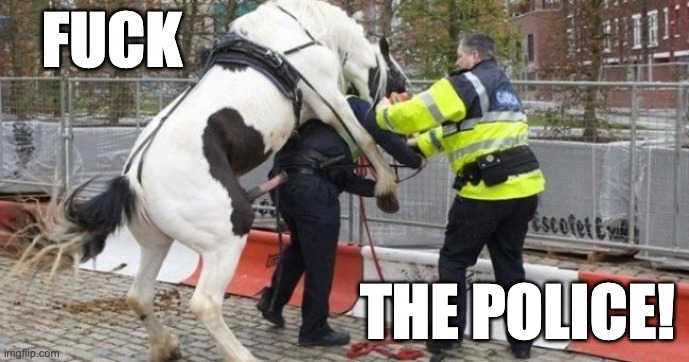 FUCK THE POLICE! | FUCK; THE POLICE! | image tagged in police,police brutality,police state,fuck the police,police officer,horse | made w/ Imgflip meme maker