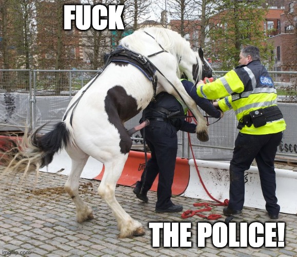 FUCK THE POLICE! | FUCK; THE POLICE! | image tagged in fuck the police,police brutality,police state,police officer,horse,rape | made w/ Imgflip meme maker