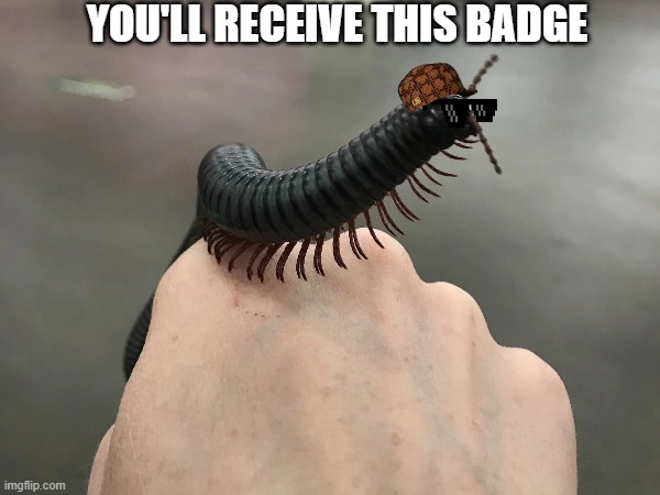 YOU'LL RECEIVE THIS BADGE | made w/ Imgflip meme maker