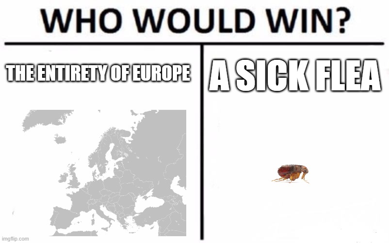 WHO WOULD WIN | THE ENTIRETY OF EUROPE; A SICK FLEA | image tagged in memes,who would win | made w/ Imgflip meme maker