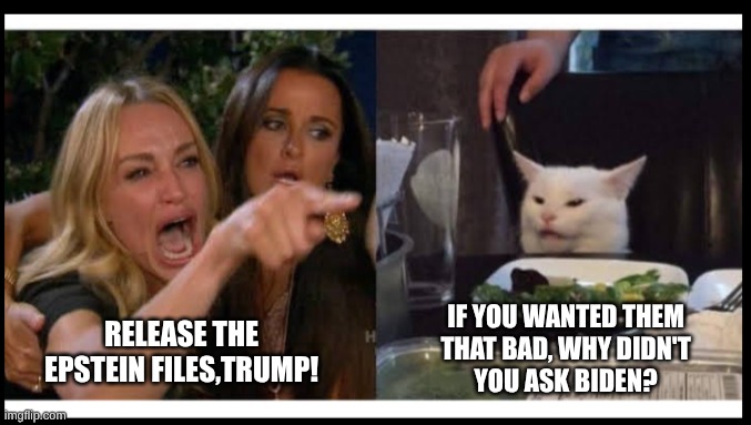 Demanding the Epstein files | IF YOU WANTED THEM
THAT BAD, WHY DIDN'T
YOU ASK BIDEN? RELEASE THE EPSTEIN FILES,TRUMP! | image tagged in woman pointing at cat yelling,jeffrey epstein | made w/ Imgflip meme maker