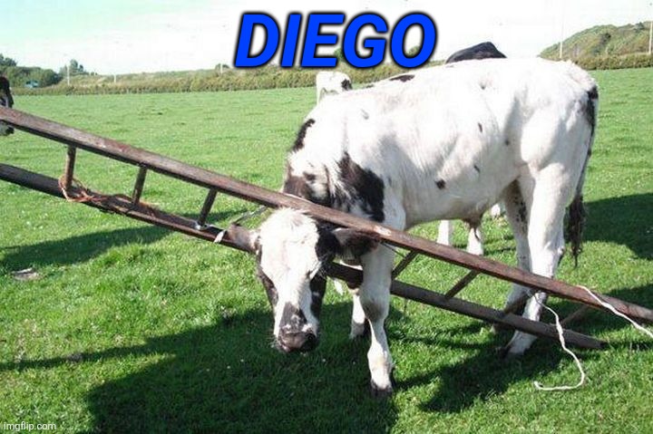 Diego | DIEGO | image tagged in memes | made w/ Imgflip meme maker