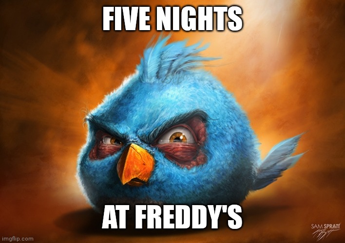 angry birds blue | FIVE NIGHTS; AT FREDDY'S | image tagged in angry birds blue | made w/ Imgflip meme maker
