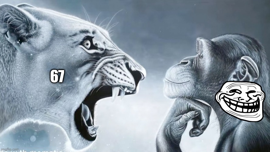 Angry Lion vs Chill Monkey | 67 | image tagged in angry lion vs chill monkey | made w/ Imgflip meme maker