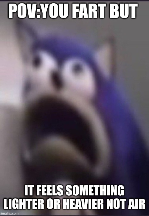 Sonic the poopdog | POV:YOU FART BUT; IT FEELS SOMETHING LIGHTER OR HEAVIER NOT AIR | image tagged in aughhhhhhhhhhhhhhhhhhh | made w/ Imgflip meme maker