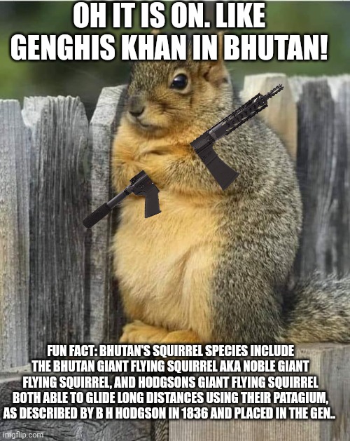 Annoyed Squirrel | OH IT IS ON. LIKE GENGHIS KHAN IN BHUTAN! FUN FACT: BHUTAN'S SQUIRREL SPECIES INCLUDE THE BHUTAN GIANT FLYING SQUIRREL AKA NOBLE GIANT FLYIN | image tagged in annoyed squirrel | made w/ Imgflip meme maker