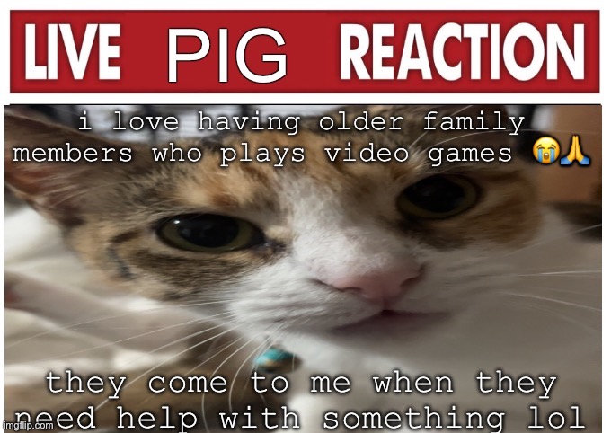 woah | i love having older family members who plays video games 😭🙏; they come to me when they need help with something lol | image tagged in woah | made w/ Imgflip meme maker