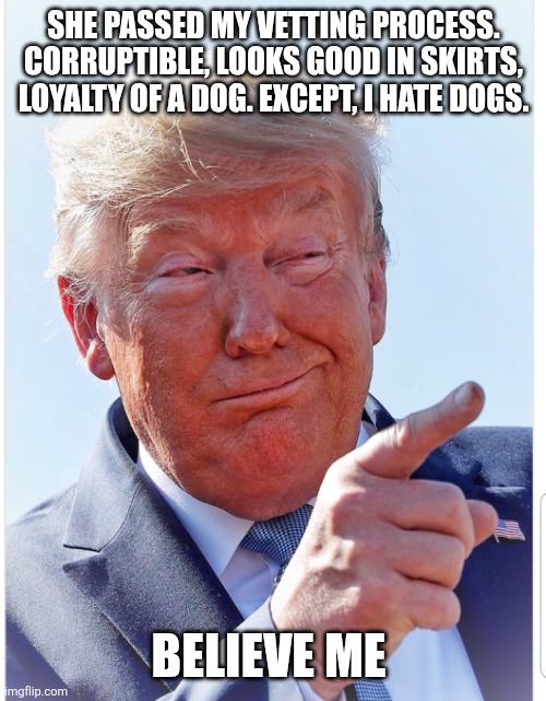 Trump pointing | SHE PASSED MY VETTING PROCESS. CORRUPTIBLE, LOOKS GOOD IN SKIRTS, LOYALTY OF A DOG. EXCEPT, I HATE DOGS. BELIEVE ME | image tagged in trump pointing | made w/ Imgflip meme maker
