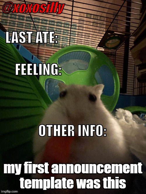 xoxosilly's announcement template! | my first announcement template was this | image tagged in xoxosilly's announcement template | made w/ Imgflip meme maker
