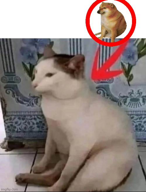 image tagged in memes,funny,funny memes,cheems | made w/ Imgflip meme maker