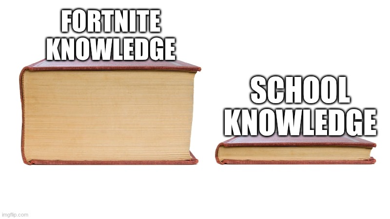 My knowledge | FORTNITE KNOWLEDGE; SCHOOL KNOWLEDGE | image tagged in long book vs short book | made w/ Imgflip meme maker