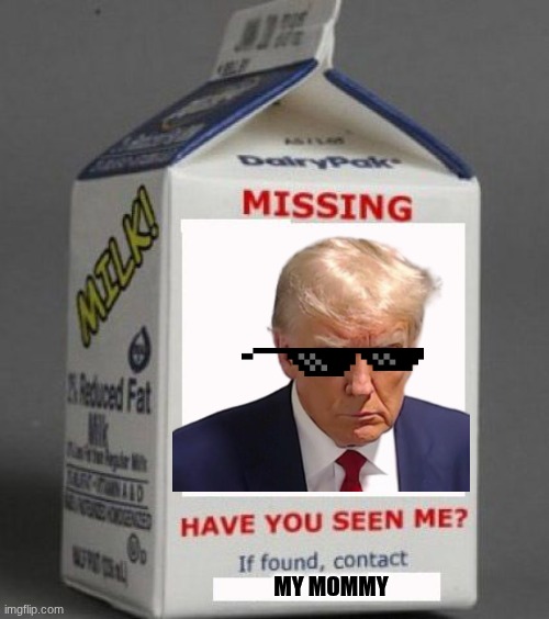 Missing | MY MOMMY | image tagged in milk carton | made w/ Imgflip meme maker